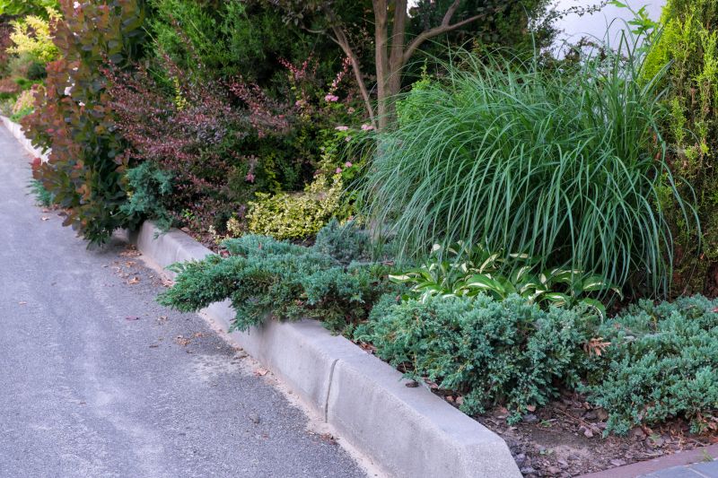 Concrete Border Installation