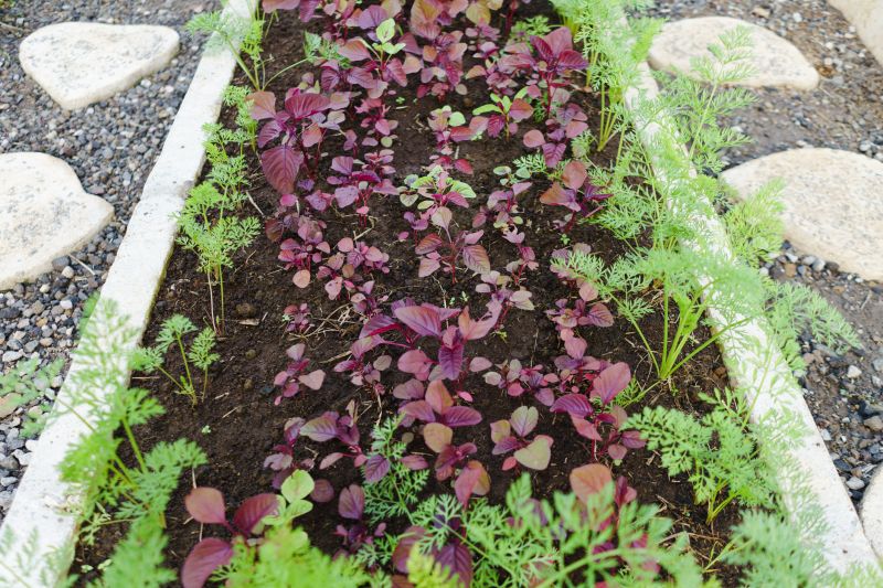Concrete Edging Installation