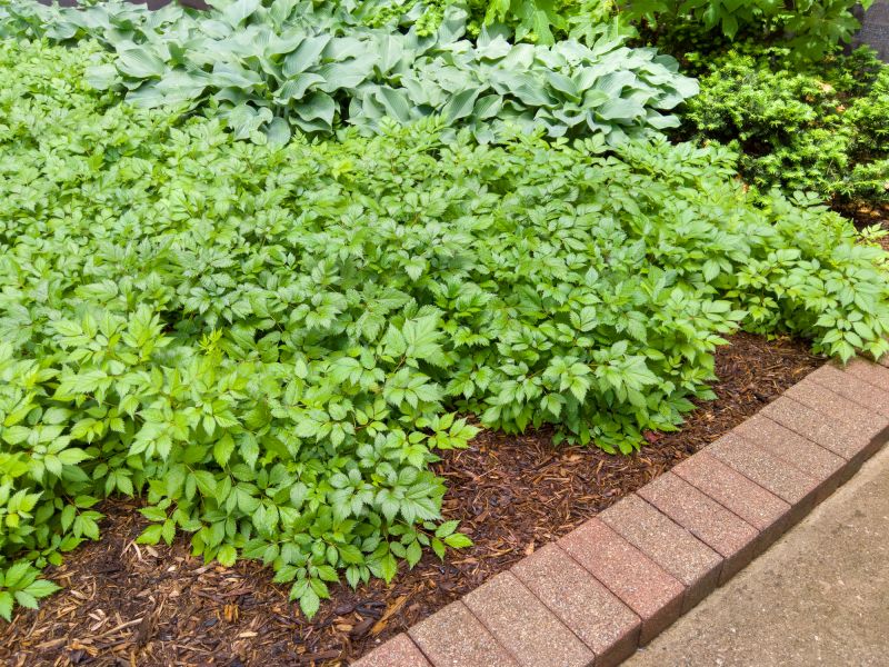 Flowerbed Edging Installation
